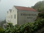 madeira_budova_henriques